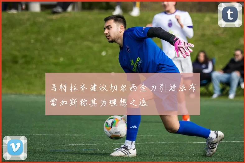 马特拉齐建议切尔西全力引进法布雷加斯称其为理想之选