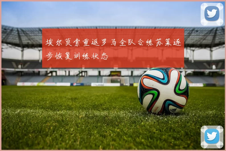 埃尔莫索重返罗马全队合练苏莱逐步恢复训练状态